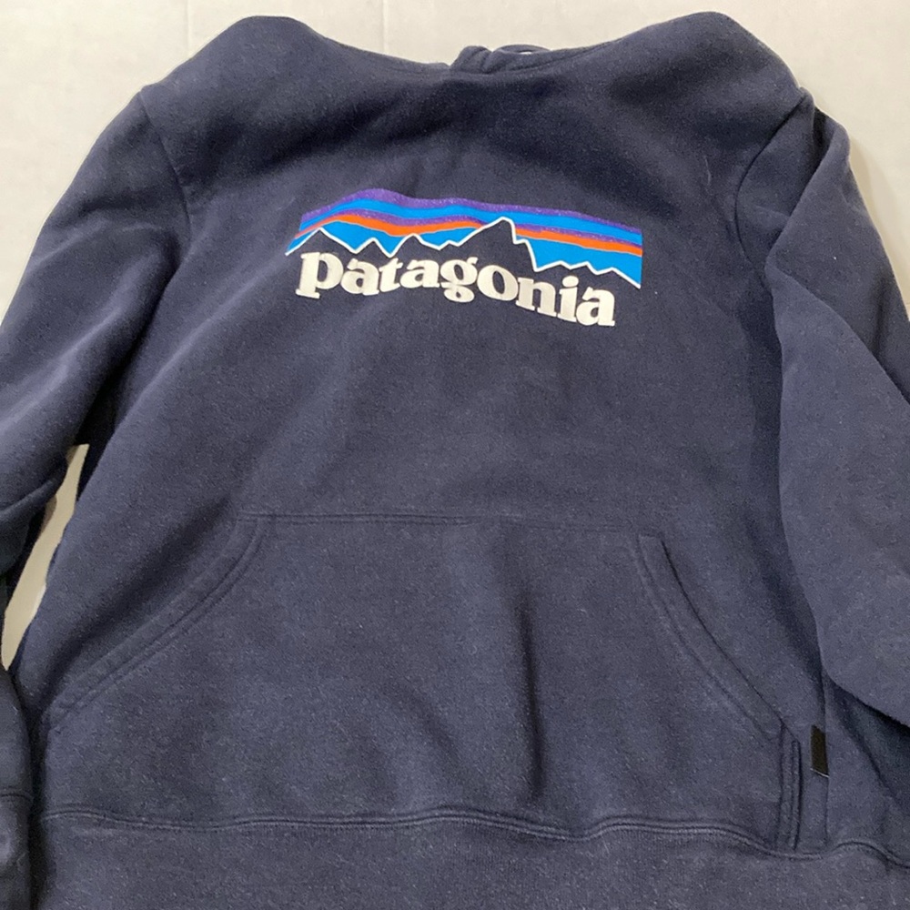 Patagonia hoody